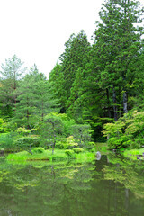 初夏の庭園