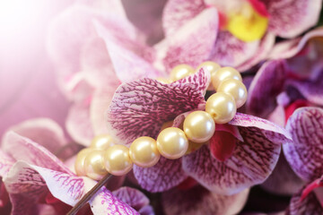 Orchid flower with a pearl necklace.