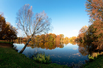 Jesienny krajobraz. Park w Świerklańcu jesienią.