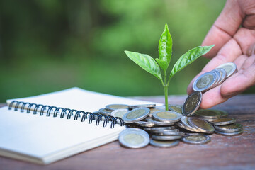 Hands of businessmen giving coins to trees growing on coins.
