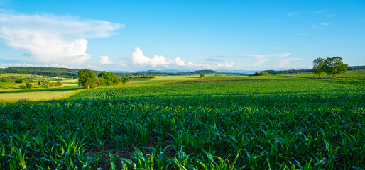 Idyllic rural view of farmland in the beautiful surroundings in eastern France, close to the Swiss...