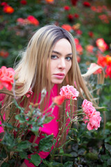 Obraz na płótnie Canvas caucasian blonde female with blue eyes in crimson pullover is sitting within roses bushes, flowers near face