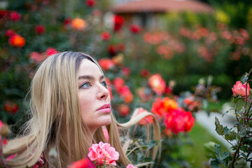 caucasian blonde female with blue eyes in crimson pullover is sitting within roses bushes, flowers near face