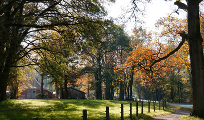 Landschaftsfoto in Deutschland nahe der niederländischen Grenze aufgenommen. Ein Bauernhof, eine Wiese und Bäume mit herbstlichen Blättern. Dieses Foto zeigt die ländliche Atmosphäre dieser Umgebung.