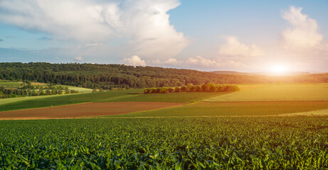 Rural landscape sunset panorama, with a field or meadow leading to the horizon and the picturesque clouds. Wonderful scene. Fantastic sunrise over the meadow with colorful clouds on the sky.