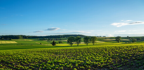Idyllic rural view of farmland in the beautiful surroundings near Mulhouse in eastern France, close...