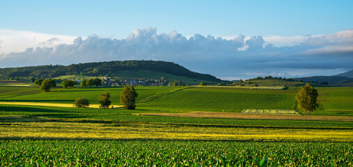 Beautiful green and yellow hills sunset panoramic view with shadows. Summer rural landscape with a...