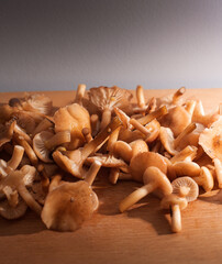 A lot of small porcini mushrooms (Boletus edulis) on a wooden table