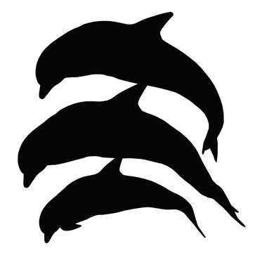 Silhouette mit drei springenden Delfinen