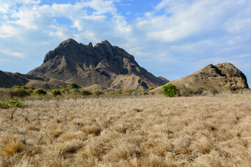Savannas of Padar Island