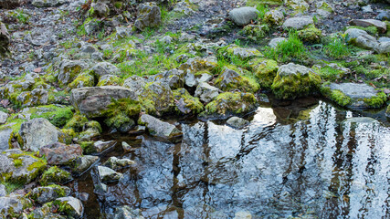 Mountain river bank, stones covered with moss, clear water, natural background