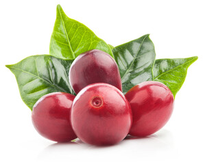 Red coffee beans isolated on white background with clipping path