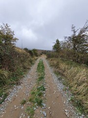 Bric Pesariondo (Alpicella, Varazze, Liguria)