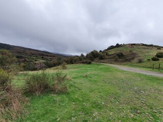 Fototapeta premium Bric Pesariondo (Alpicella, Varazze, Liguria)