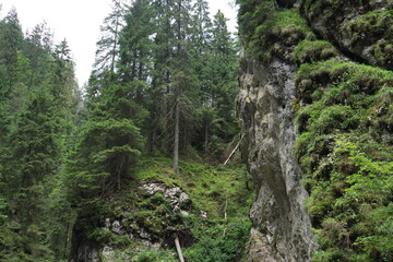 green national park in the Poland