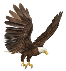 Seeadler, Freisteller