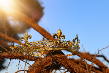 mysterious and magical photo of king crown in the England woods over old tree branch. Medieval period concept.