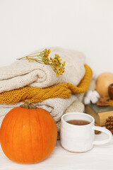 Fototapeta na wymiar Warm tea, pumpkins and spices on background of cozy knitted sweaters, stylish autumnal image