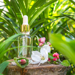 Oil for skin care, massage from natural ingredients, herbs, mint in glass jars and test tubes on a green background in the garden on the nature, natural cosmetics