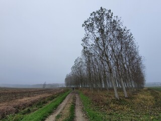 Villanova d'Ardenghi (Pavia)