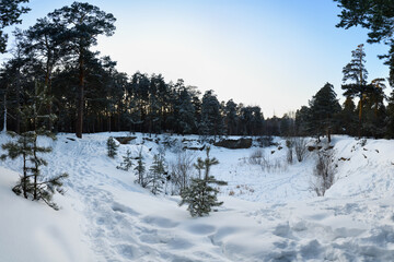 Winter landscape in the forest at sunset. Lots of footprints in the snow. Snow-covered quarry