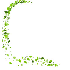 Olive Greens Swirl Vector Design. Wind Foliage 