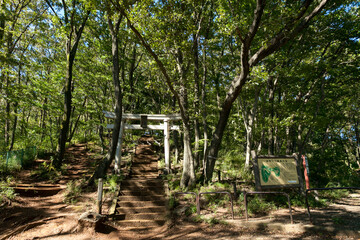 浅間山公園（東京都府中市浅間町）