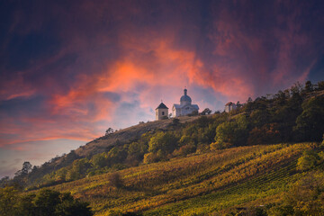 Obraz premium Vineyards in South Moravia near Mikulov in the Czech Republic. In the background is the Holy Hill and the sky at the setting sun