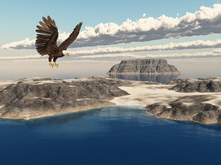 Seeadler über einer Insellandschaft