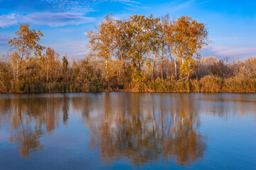 Fototapeta na wymiar Autumn trees reflected in water.
