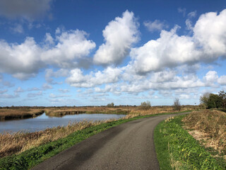 Rroad through the nature around Nijetrijne