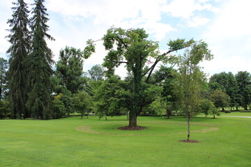 golf course on a day