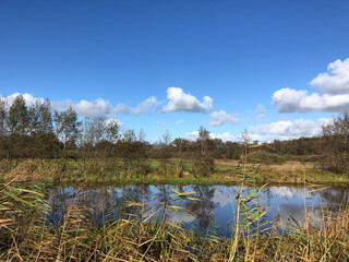 Nature reserve around Wolvega