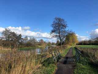 Fototapeta na wymiar Bicycle path through a nature reserve around Wolvega