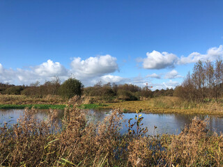 Nature reserve with a windmill around Wolvega