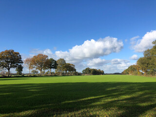 Farmland around Steggerda in Friesland