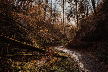 Drachenschlucht in Thüringen bei Eisenach im Herbst