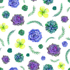 Colorful watercolor succulents seamless pattern on white background. Hand drawn botanical illustration with succulent and leaves.