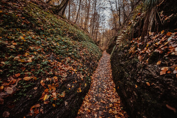 Drachenschlucht in Thüringen bei Eisenach im Herbst
