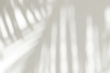 Shadow background. Natural leaves shadows and sunlight dappled on white wall, wallpaper. Tropical summer stationery mock-up. Blank business card, rose, gray paper. Palm leaf shadow overlay. Flat lay.