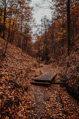 Drachenschlucht in Thüringen bei Eisenach im Herbst