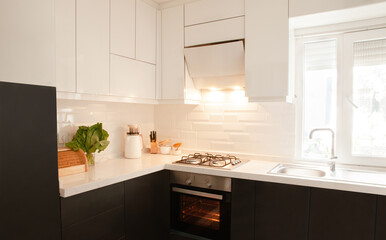 Modern Scandinavian kitchen interior design. White and grey.