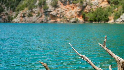 Branch of dead tree in front of a turquoise river