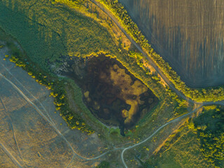 Obraz premium Pond overgrown with grass, top view