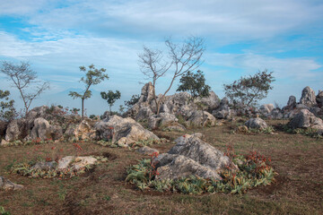 Landscape view top of rocky mountain, Stone Garden Padalarang Indonesia 