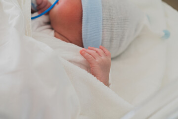 赤ちゃん　新生児　手