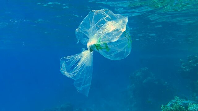 A piece of plastic bag drifts in blue water, gradually collapsing and turns into microplastics. Plastic bag swims near coral reef (4K-60fps) Red Sea