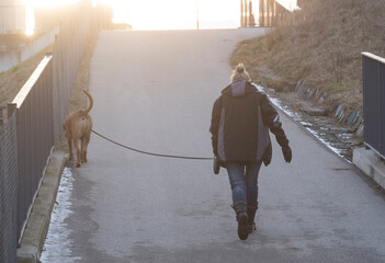 taking dog for a walk in the park