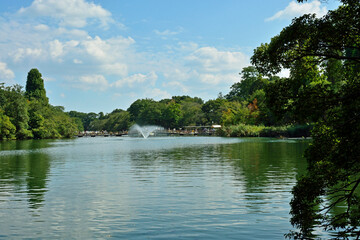 Obraz premium 井の頭恩賜公園