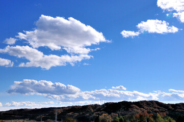 青空と白い雲